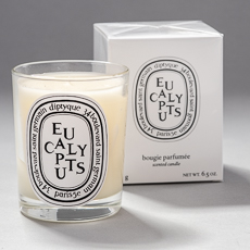 Eucalyptus diptyque scented candle