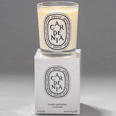 Gardénia / Gardenia diptyque scented candle paris
